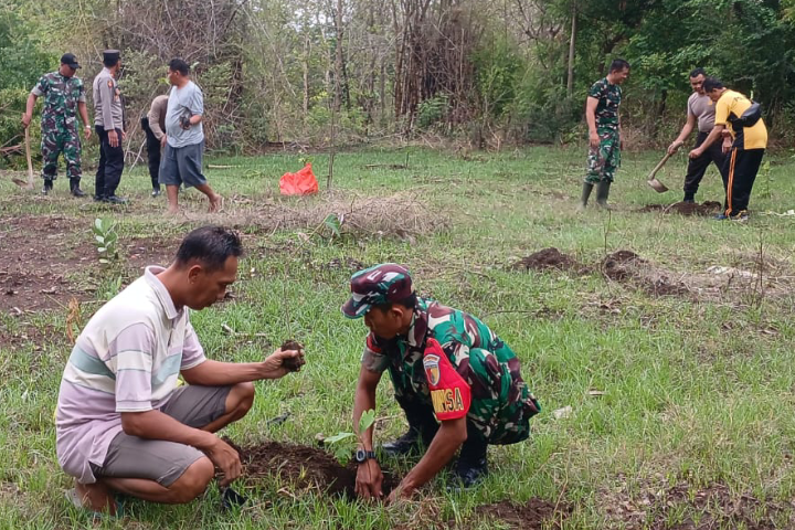 150 Pohon Sukun Ditanam di Situbondo Untuk Penghijauan dan Pemberdayaan UMKM