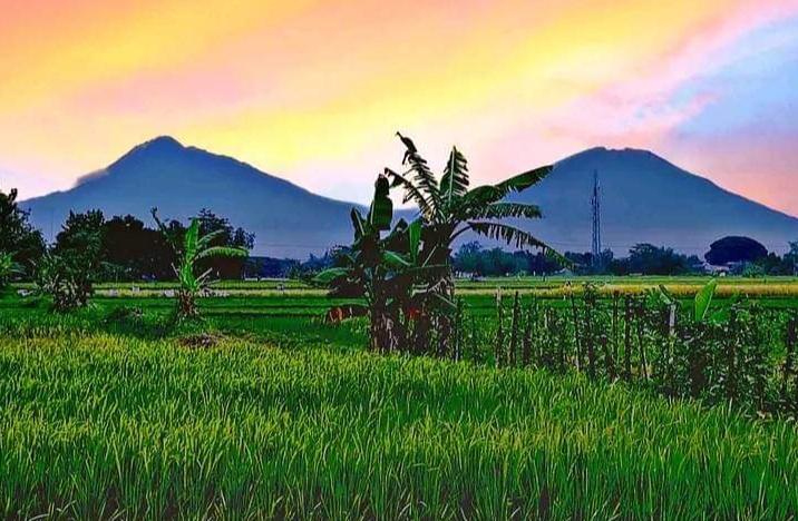7 Kelompok Tani di Situbondo akan Dapat Bantuan Alat Jemur Tembakau