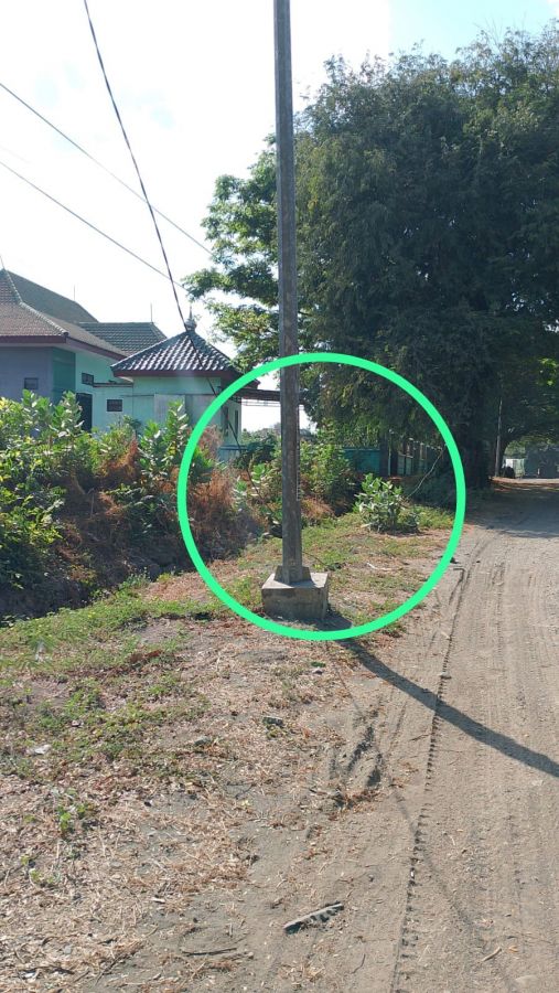 Hati - hati Bagi Warga Banyuputih, Ada Kabel Listrik Lepas dari Tiang Sudah Berhari-hari