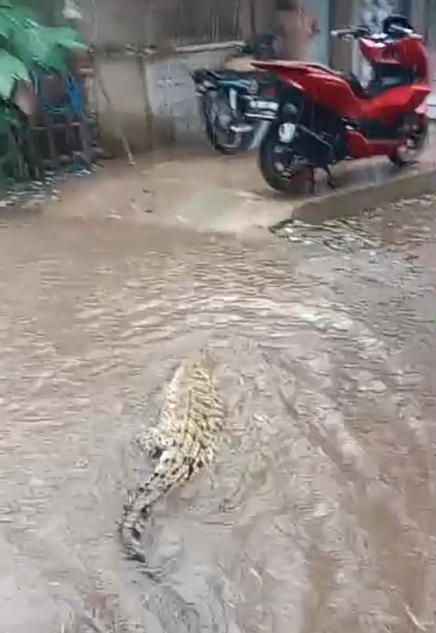 Aliran Sungai