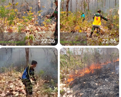 Babinsa Koramil 0823/15 Bungatan, Bahu Membahu Lakukan Pemadaman Kebakaran Hutan dan Lahan