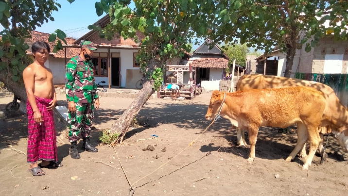 Babinsa Mlandingan Kulon Lakukan Monitoring dan Pengawasan Terhadap Hewan Ternak Warga