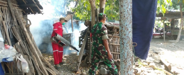 Sejumlah Warga Terjangkit Demam Berdarah, Babinsa Trebungan dan Instansi Terkait Lakukan Fogging