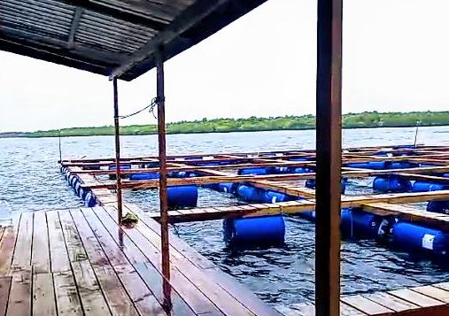 BALAD GRUP Gandeng DKP Propinsi Jawa Timur, Sepakati Kerja Sama Budidaya Lobster di 7 Teluk