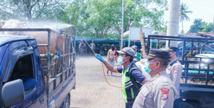 Polres Situbondo dan Dinas Peternakan Cek Pasar Kamisan Asembagus Lakukan Mitigasi Penyebaran PMK