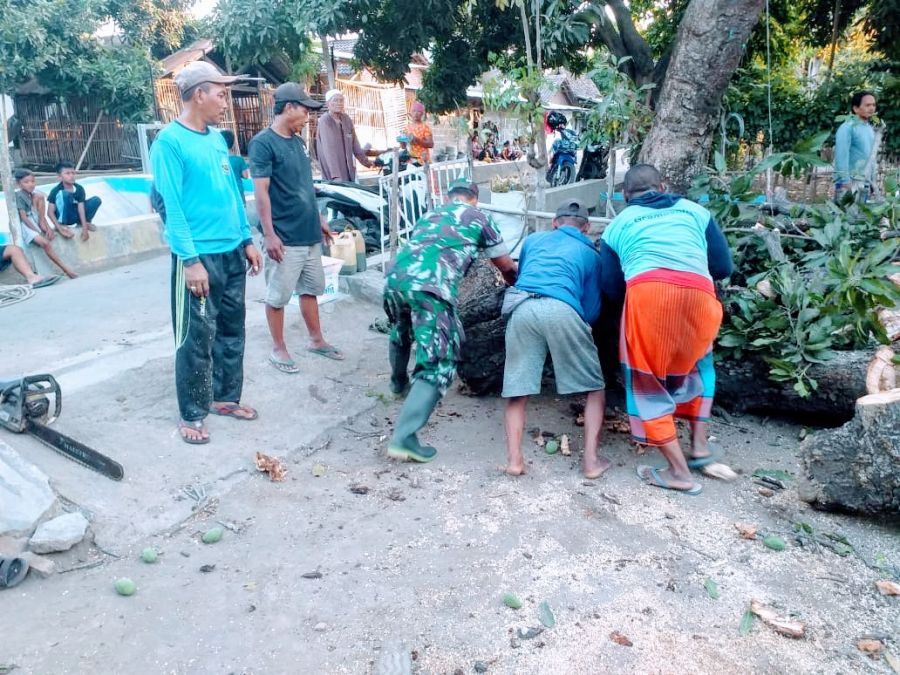 Evakuasi Pohon Tumbang, Selamatkan Rumah Warga di Desa Gebangan