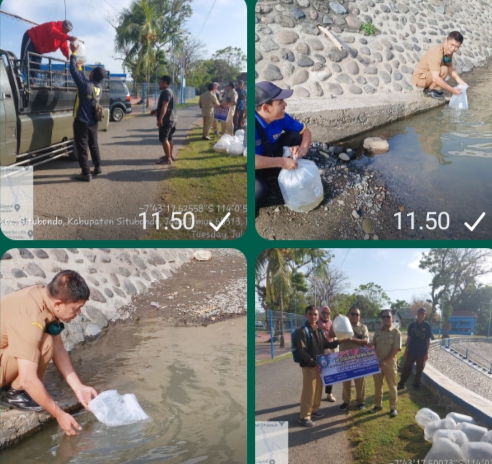 Dinas Perikanan dan Peternakan Situbondo Gandeng Pemdes Kotakan Tebar Belasan Ribu Ikan di Sungai