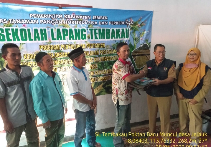 Dinas TPHP Jember Gelar Sekolah Lapang di Kecamatan Jelbuk