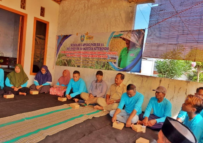 Dinas Pertanian dan Tanaman Pangan Kabupaten Situbondo Gelar Sekolah Lapang Padi BK di Desa Demung