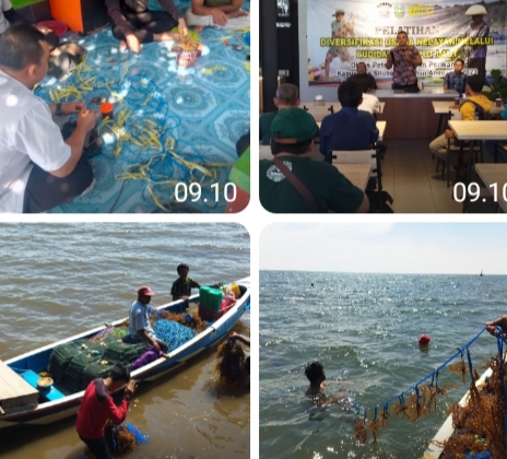 Disnakkan Situbondo Gunakan DBHCHT Gelar Pelatihan Budi Daya Rumput Laut Bagi Para Nelayan