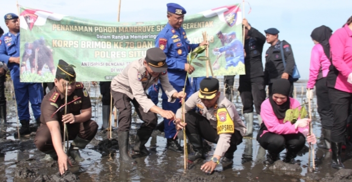 HUT Korps Brimob ke 78 dan Polairud ke 73, Polres Situbondo Tanam 1000 Bibit Pohon Mangrove
