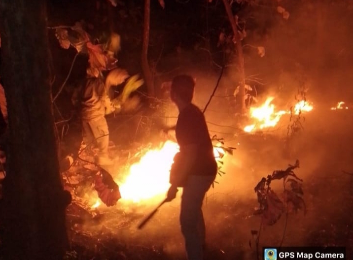 Hutan di Taman Nasional Baluran Alam Kebakaran Pada Minggu Malam