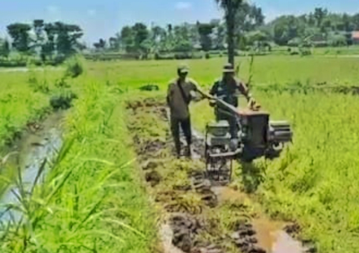 Babinsa Koramil 0823/15 Bungatan Bantu Kesejahteraan Pertanian Melalui Pendampingan Ketahanan Pangan