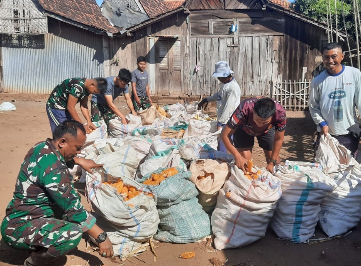 Kolaborasi Personil Satgas TMMD ke 120 dan Warga Gotong royong Bantu Jemur Jagung