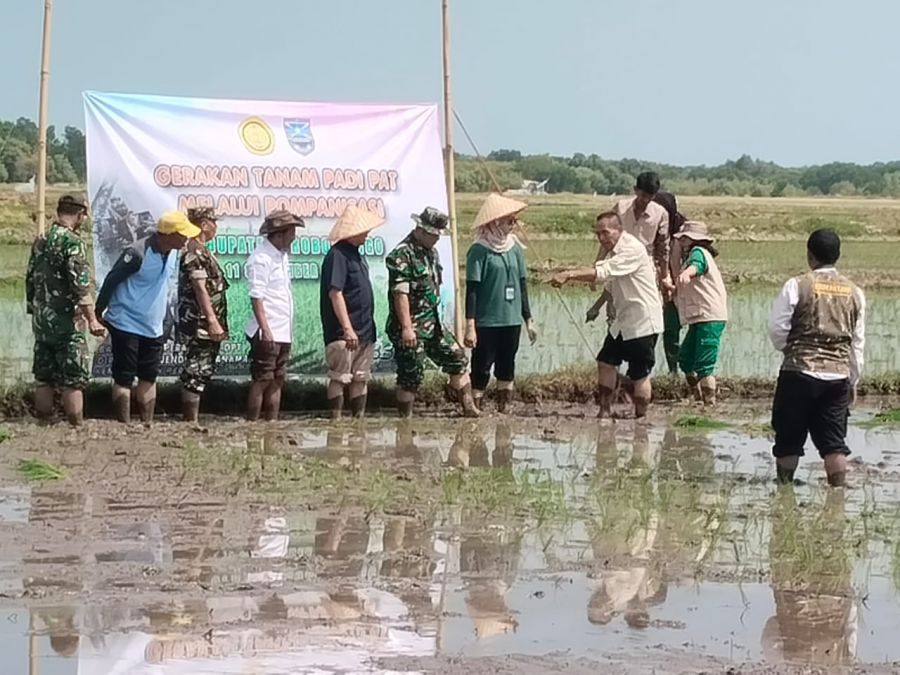 Kolaborasi untuk Ketahanan Pangan: Desa Asembagus Jadi Contoh Nasional
