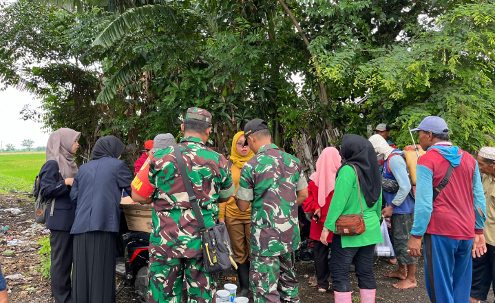 Koramil 0823-04/Mangaran Bersama Dinas Terkait Intensifkan Pengendalian Hama Tikus di Mangaran