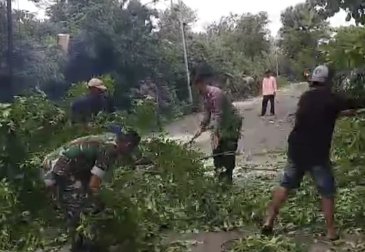 Koramil 0823/16 Sumbermalang Gelar Kerja Bakti Pemotongan Pohon di Desa Plalangan.