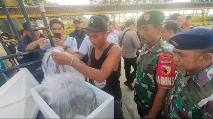 Tim Gabungan TNI-POLRI-Syahbandar Lakukan Penangkapan Mobil Pickup Pengangkut Karang yang Dilindungi