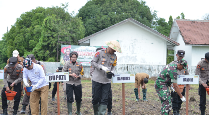 Polres Situbondo Dukung Program Ketahanan Pangan Lewat Gerakan Tanam Jagung Serentak