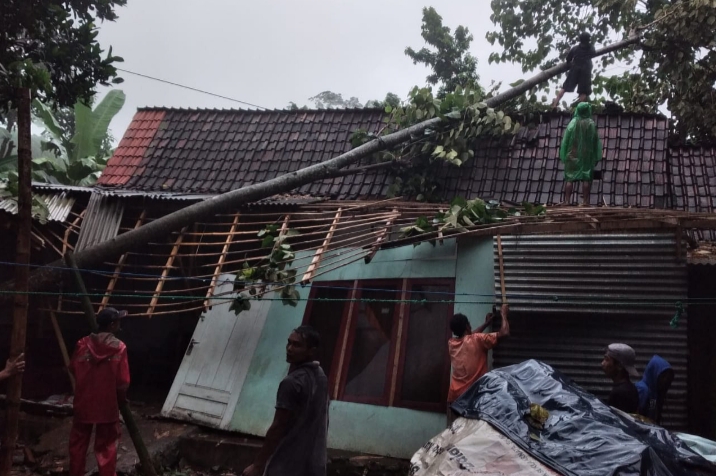 Hujan Deras dan Angin Kencang Terjang Pohon, Menimpa Rumah Tidak Berpenghuni di Sumbermalang