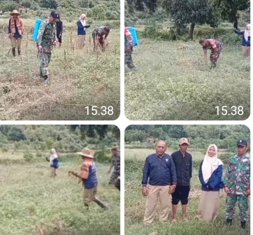 Serka Pranyoto, Mitra Utama Petani dalam Perluasan Areal Tanam Padi di Situbondo