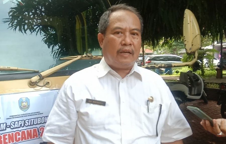 Model Bisnis Dalam Integrasi Sorgum Sapi Mendukung Situbondo