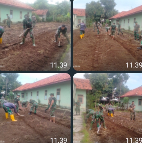 Para Personil Kodim 0823 Lakukan Penggemburan Lahan Tidur di Lapangan Tembak eks 514