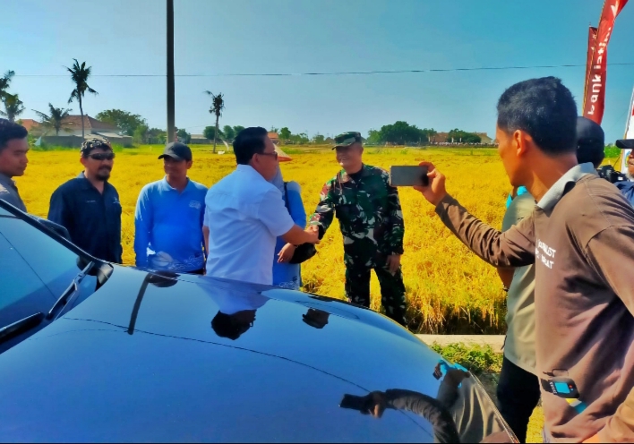 Pasiter Kodim 0823 Sambut Kunjungan Pj Gubernur Jatim dalam Panen Raya Padi BK Situbondo 01 Agritan