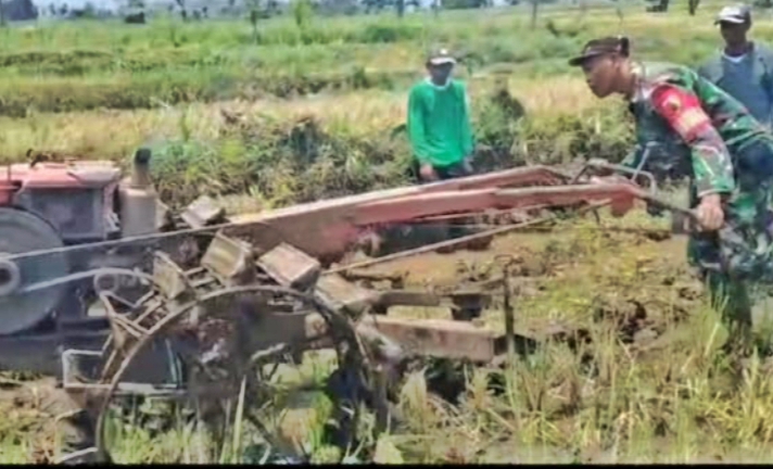Peningkatan Ketahanan Pangan Melalui Kolaborasi Babinsa Koramil 0823/11 Besuki dan Kelompok Tani