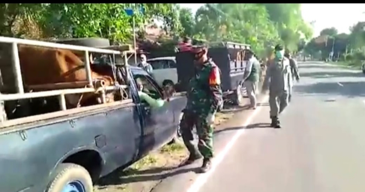 Petugas Gabungan Antisipasi PMK, Cegat Kendaraan Bermuatan Hewan Ternak di Suboh