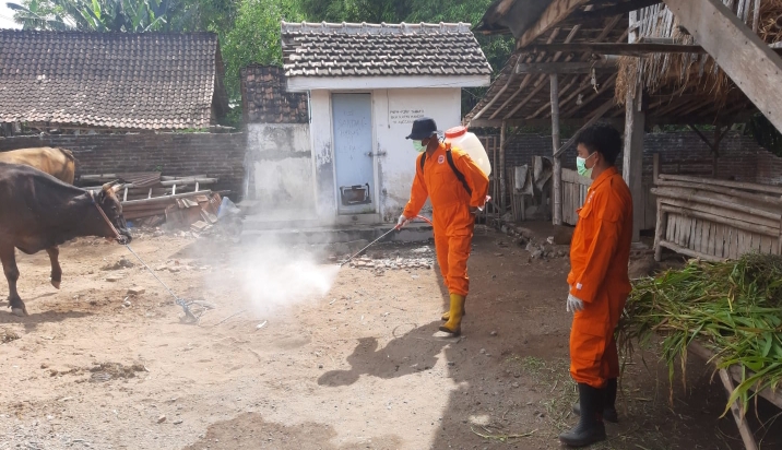 Petugas Gabungan Periksa Kesehatan dan Semprotkan Disinfektan di Situbondo
