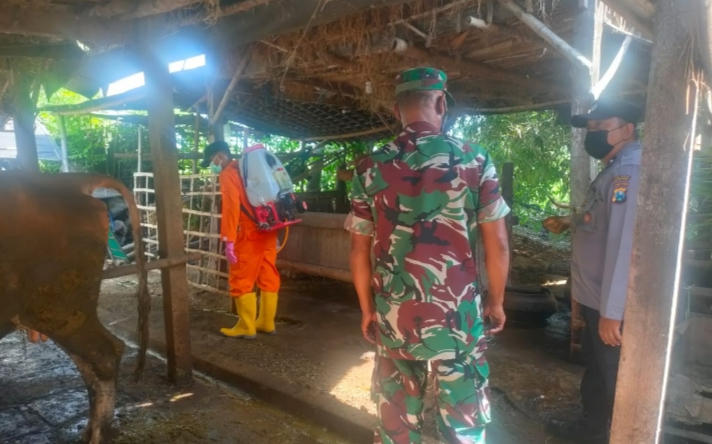 Petugas Gabungan Semprotkan Disinfektan Kepada Hewan Ternak di Kecamatan Mangaran