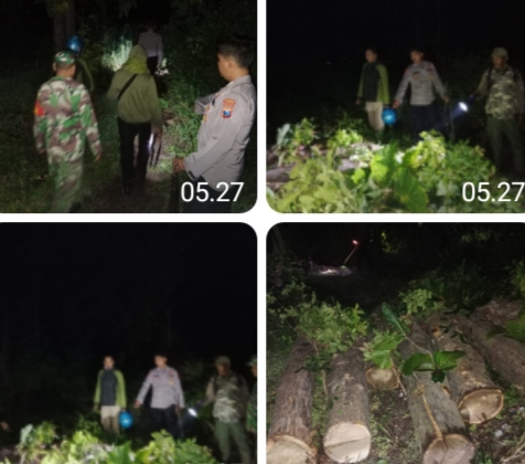 Petugas Temukan Enam Batang Kayu Jati Tidak Bertuan
