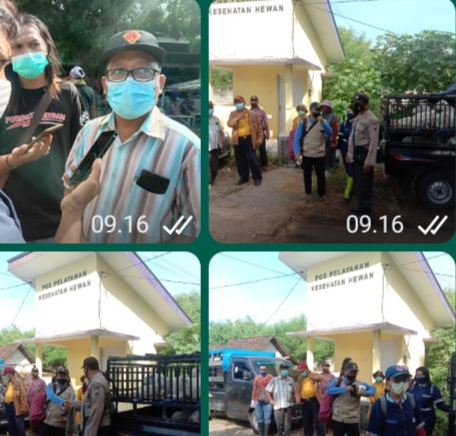 Pihak Dinas Peternakan dan Perikanan Gandeng Petugas Gabungan cek Keluar dan Masuk Hewan Ternak