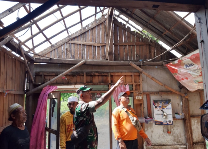 Pohon Diterjang Angin Kencang dan Hujan Deras di Curah Tatal, 5 Atap Rumah Warga Jebol