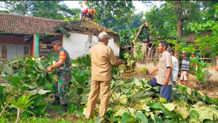 Rumah Ibadah di Besuki Tertimpa Pohon Jati Tumbang yang Diterjang Angin Kencang dan Hujan Deras