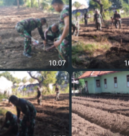 Wujud Ketahanan Pangan di Masa Pandemi Covid-19, Kodim 0823 Genjot Tanam Singkong di Lahan eks 514