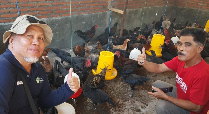 Serahkan Bantuan 200 Ayam di Empat Lokasi Untuk Para Peternak di Desa Wonorejo Kecamatan Banyuputih