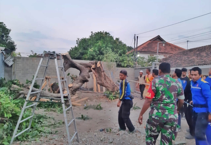 Serda Joko Santoso Bersama Tim Tagana Evakuasi Pohon Tumbang