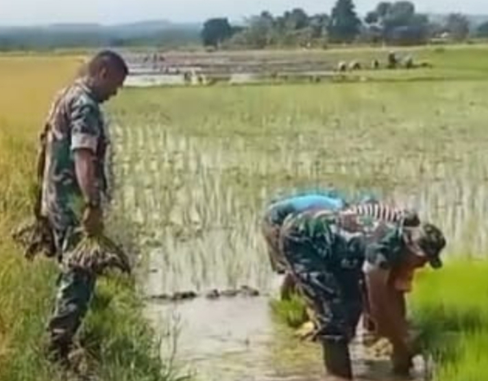 Demi Bangsa dan Negara, Serda Noercahyono Rela Berkubang Lumpur