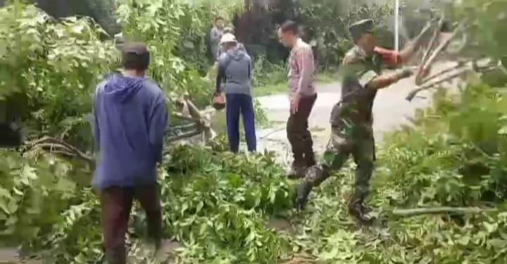 Sinergi Babinsa dan Warga, Gotong Royong Potong Ranting Pohon Demi Keselamatan Jalan