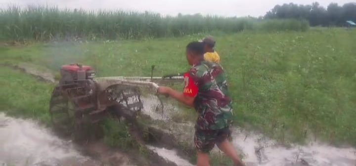 Sinergi Babinsa Koramil 0823/10 Arjasa dan Petani, Bersama Wujudkan Ketahanan Pangan Nasional 