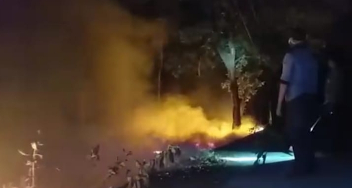 Kebakaran Hutan Seluas 4 Ha Terjadi di Situbondo Pada Senin Malam