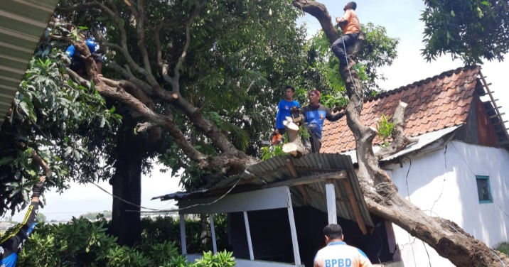 Hujan Deras dan Angin Kencang Disertai Petir Timpa Atap Rumah Warga Desa Curah Jeru