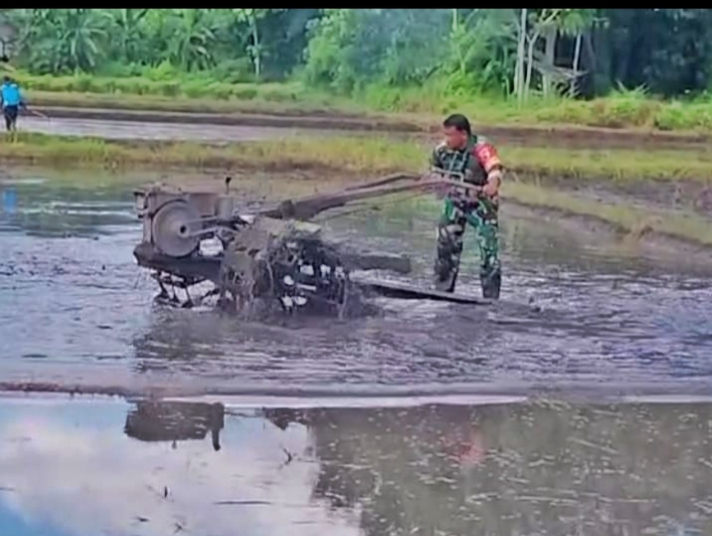 Koptu Supriyanto Terjun Langsung ke Sawah Dukung Ketahanan Pangan & Kemanunggalan TNI-Rakyat