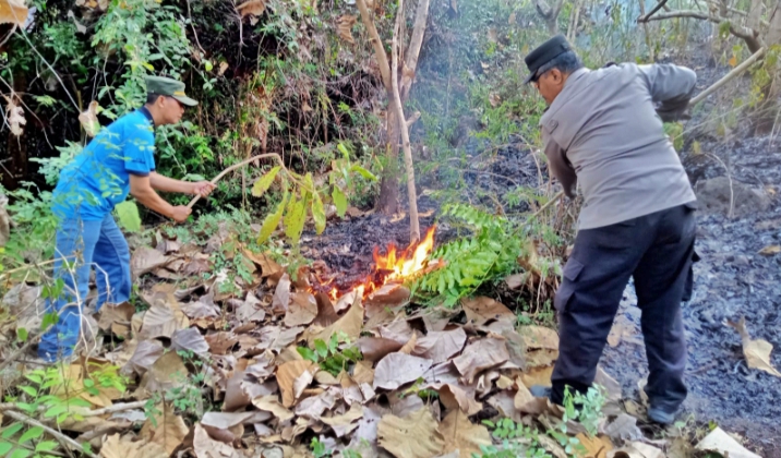 Tim Gabungan Padamkan Kebakaran di Kaki Gunung Kukusan Situbondo