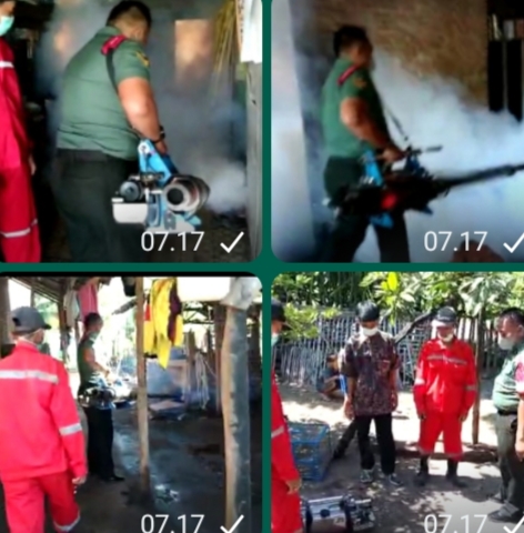 Tindaklanjuti Temuan Kasus Demam Berdarah, Koramil Jangkar Lakukan Fogging
