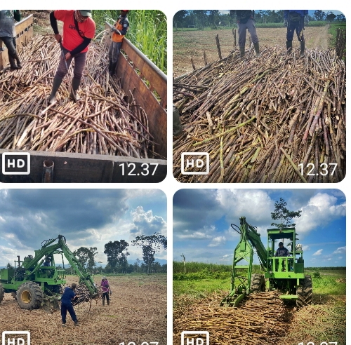 TMA 2024 PTPN I Regional 5 Kebun Kalitelepak