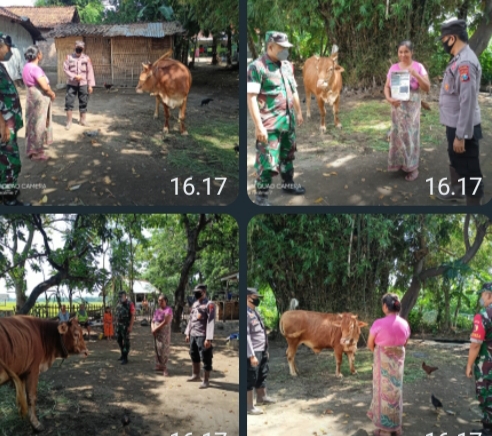 TNI-POLRI Lakukan Sosialisasi dan Pemeriksaan Hewan Ternak di Kecamatan Suboh